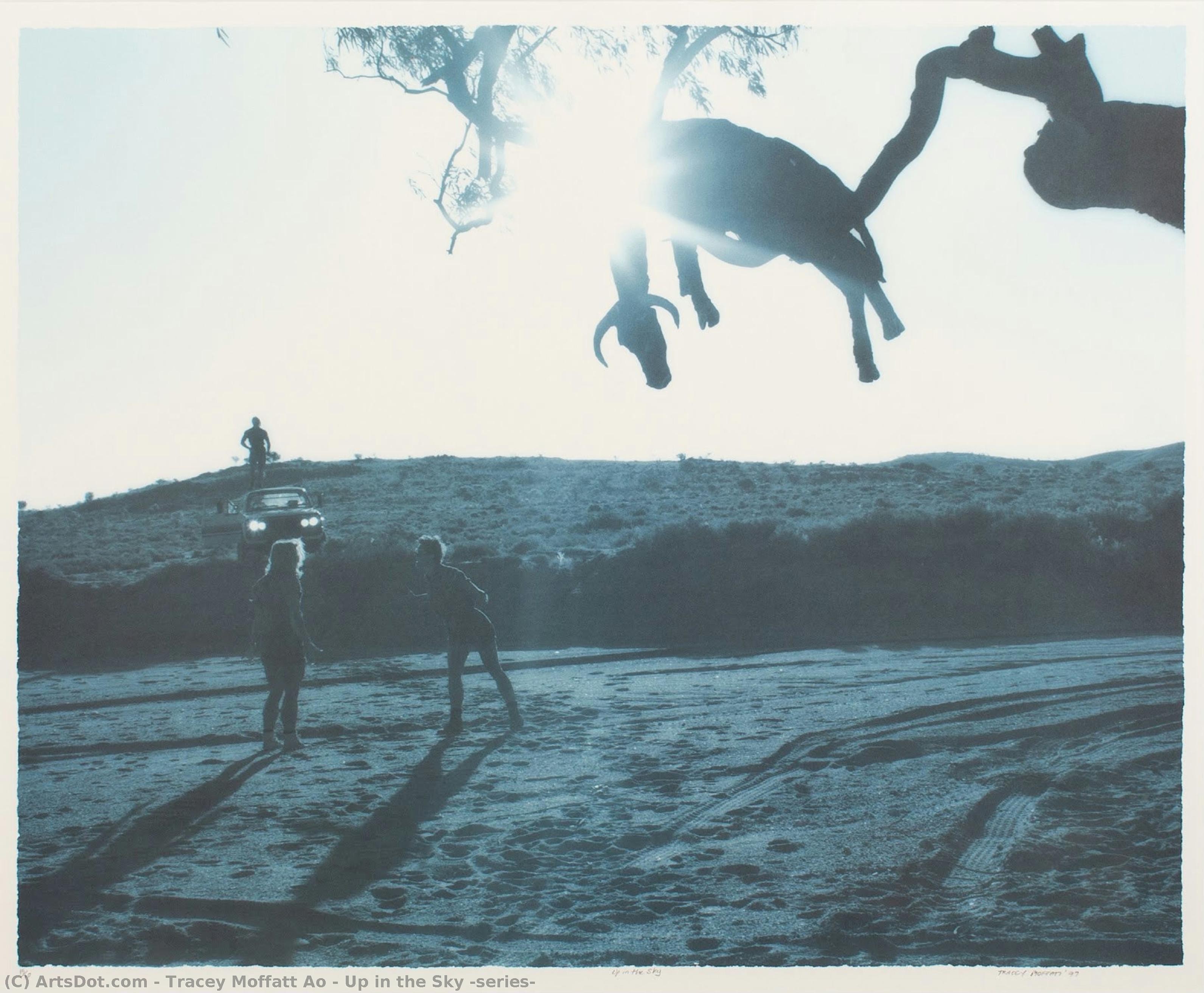 Up In The Sky (series) — Tracey Moffatt Ao