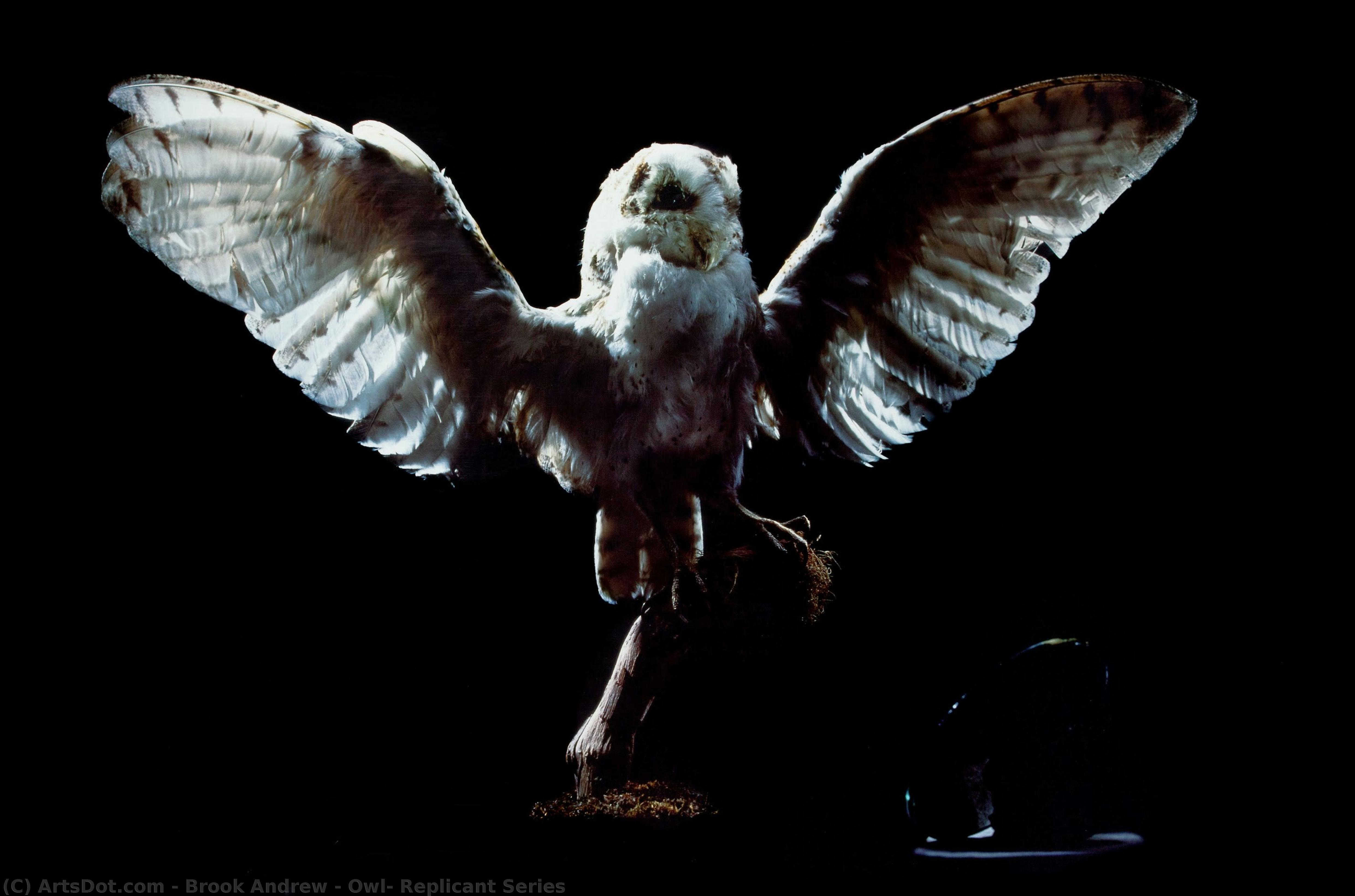 Owl, Replicant Series — Brook Andrew