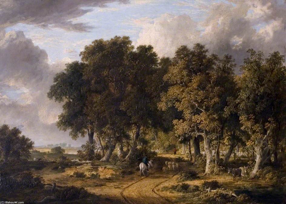 A View In The New Forest — Джеймс Стэрт
