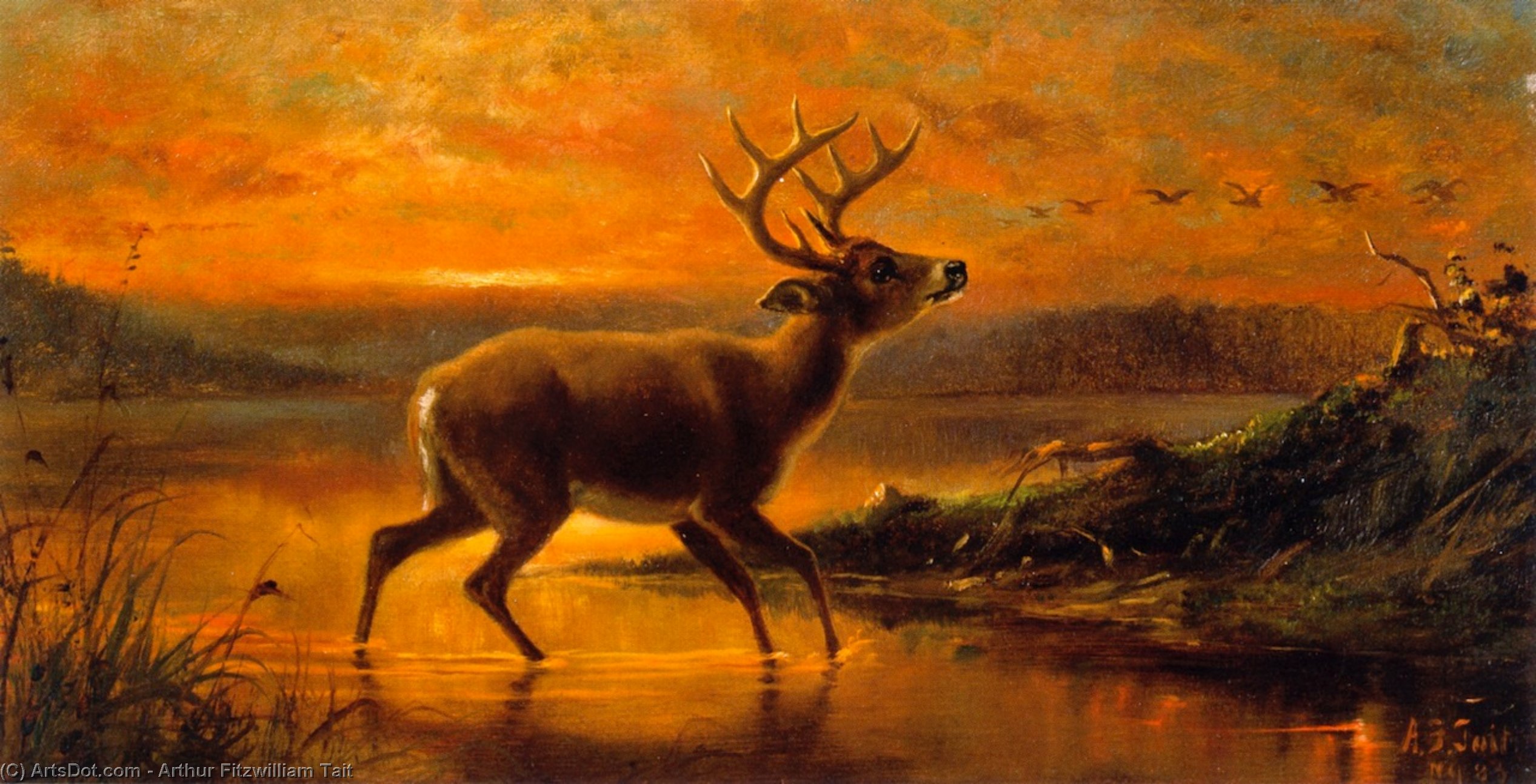 Ten Point Buck In Evening Twilight — Arthur Fitzwilliam Tait