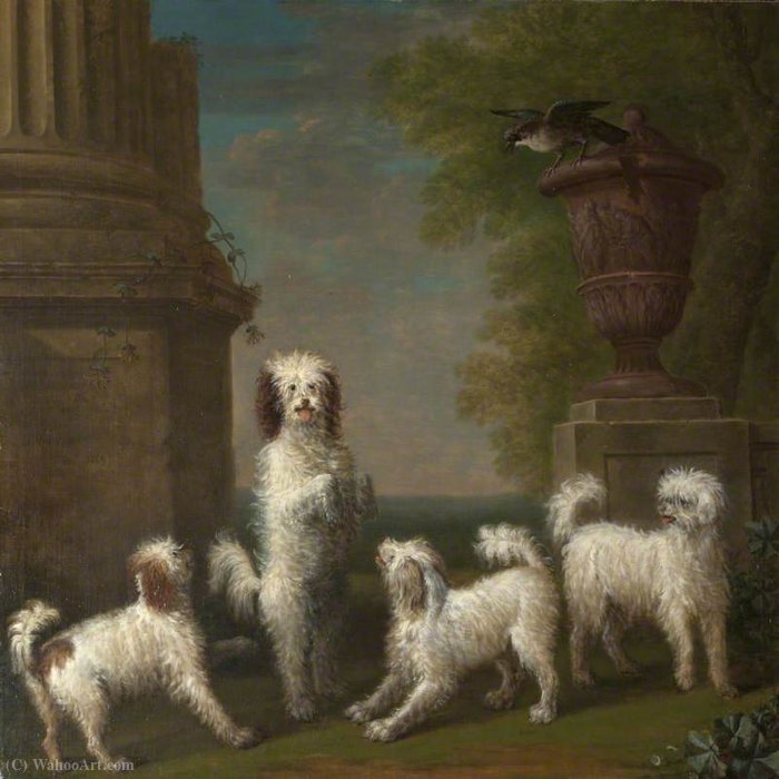 Dancing Dogs 'lusette', 'madore', 'rosette' And 'moucheby' — John Wootton