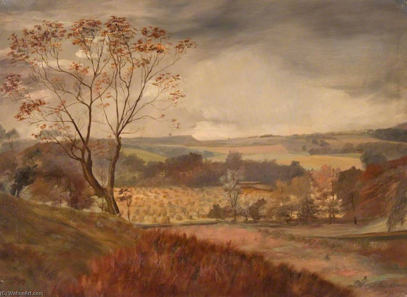 Above River Allander, Milngavie — Robert Lillie