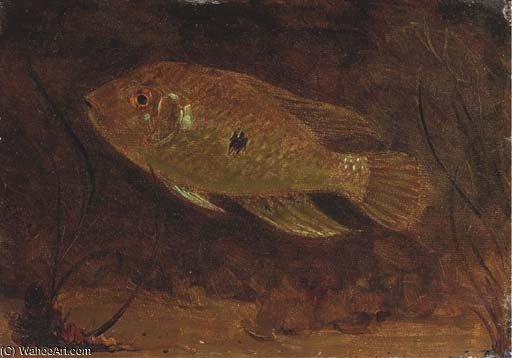 Under Water — Геррит Вилем Диссельхоф