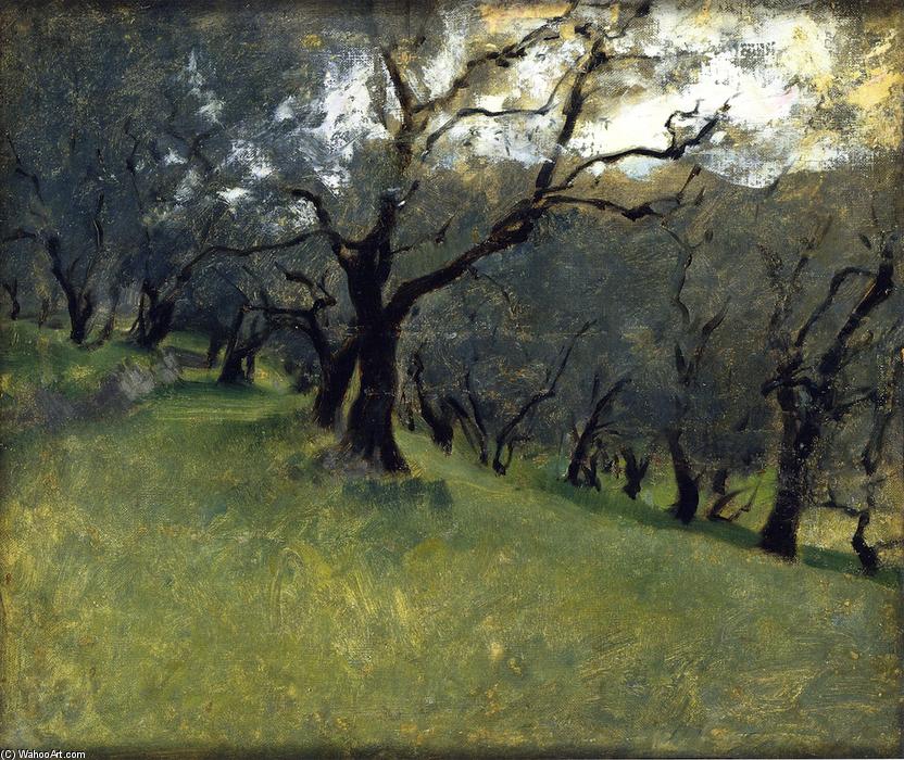 Olive Trees — Сарджент
