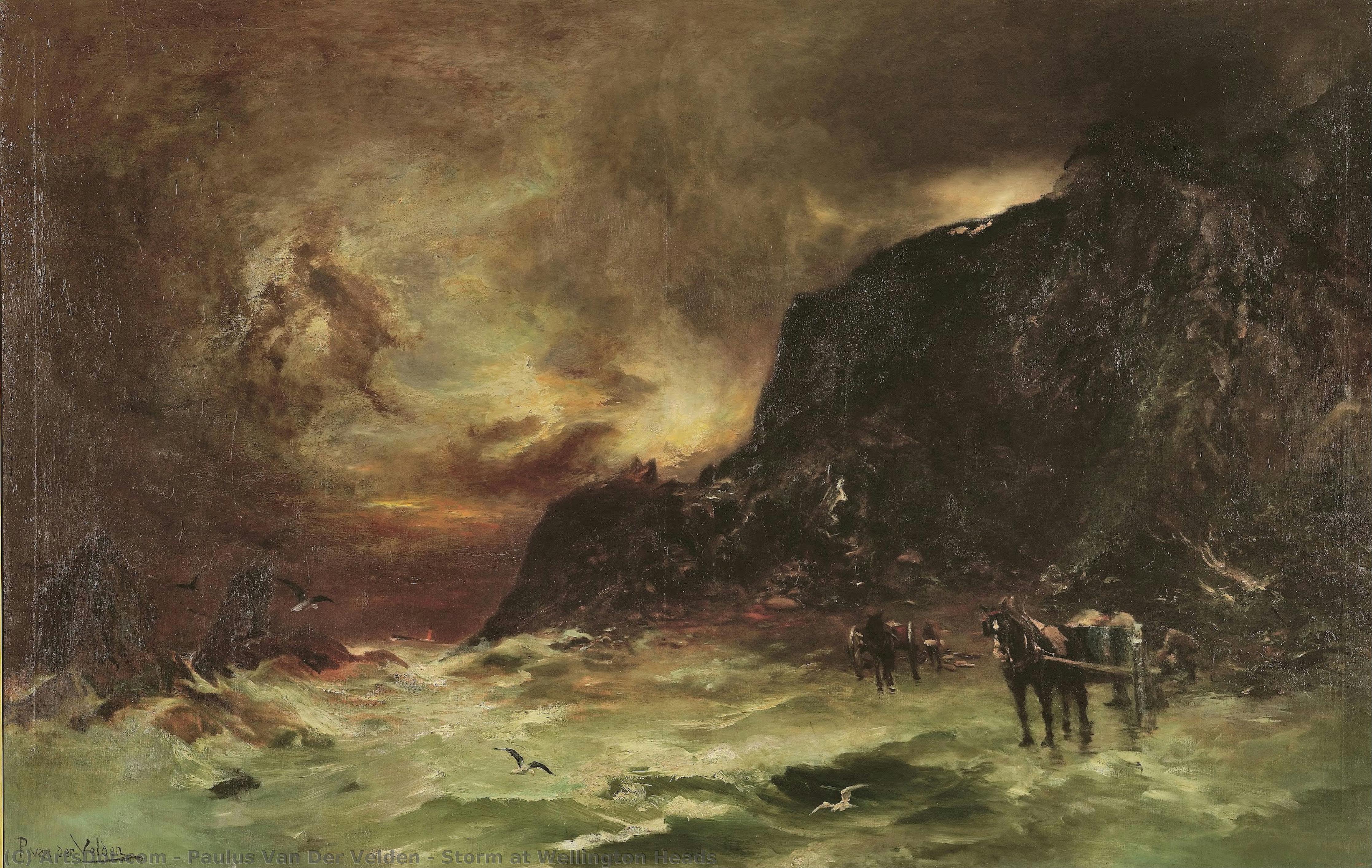 Storm At Wellington Heads — Paulus Van Der Velden