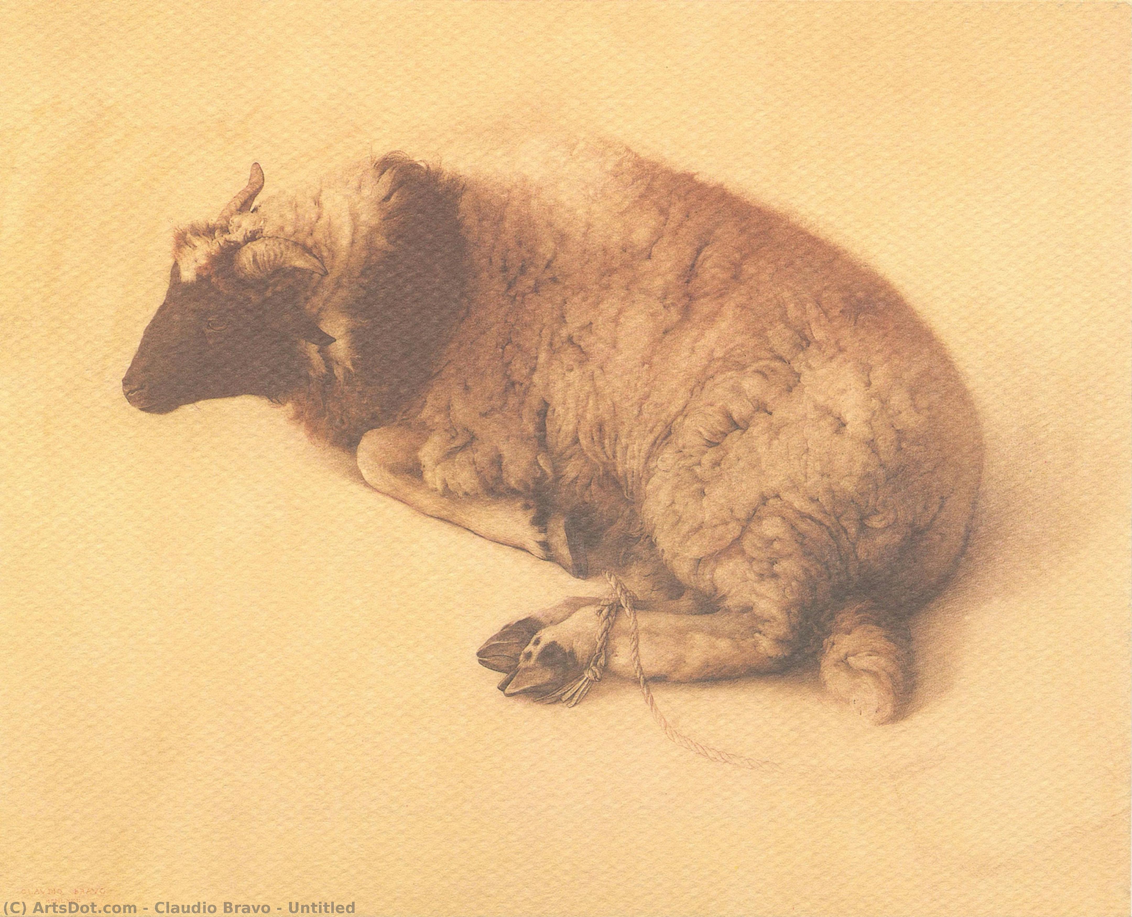 Untitled — Claudio Bravo
