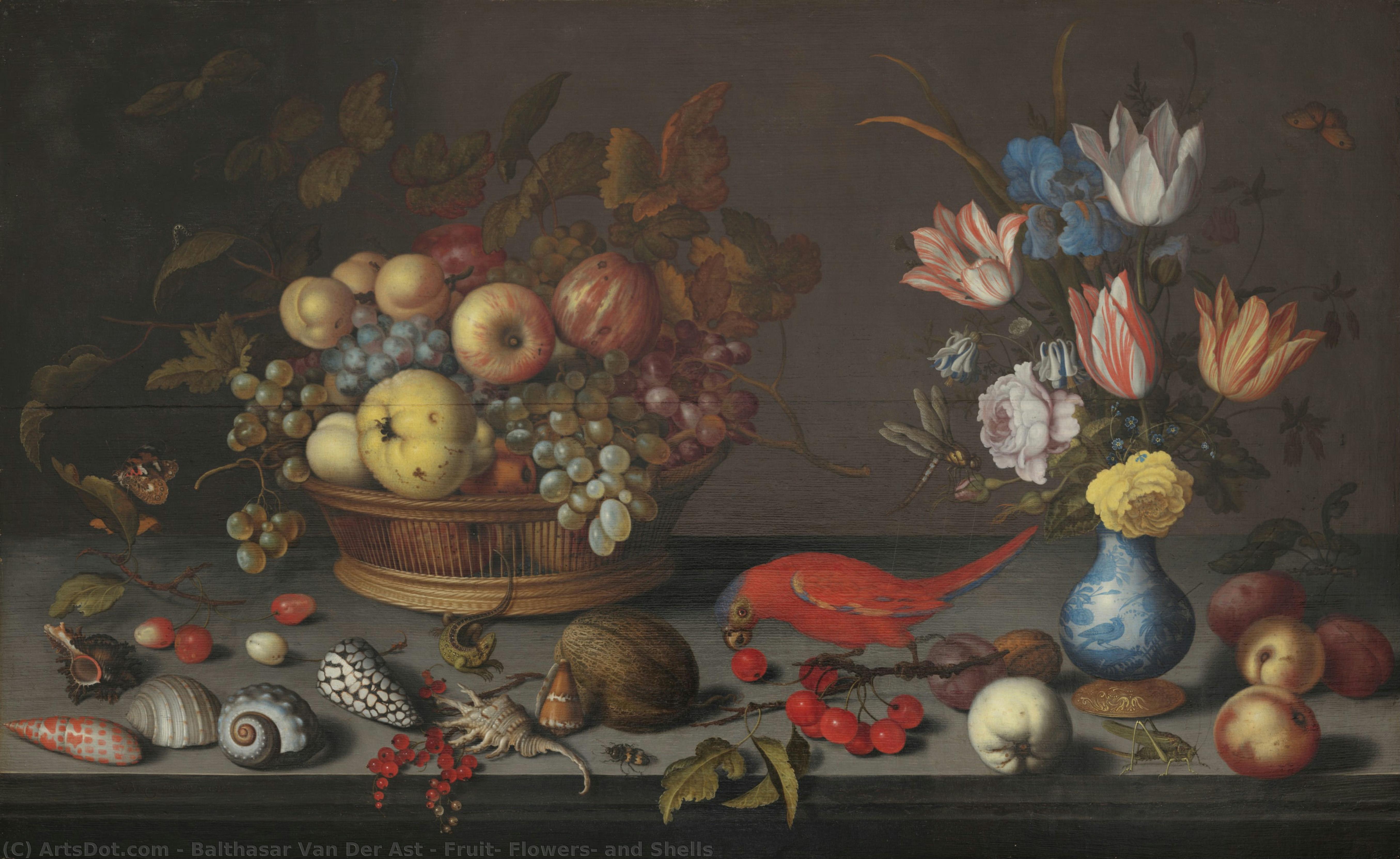 Fruit, Flowers, And Shells — Бальтазар Ван Дер Аст