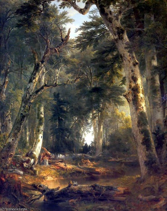Untitled (568) — Ašer Braun Durand