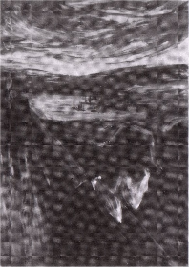 Despair — Едвард Мунх