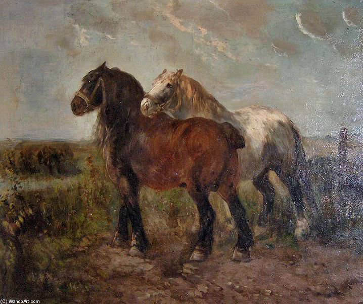 Brabant Draught Horses — Henry Schouten