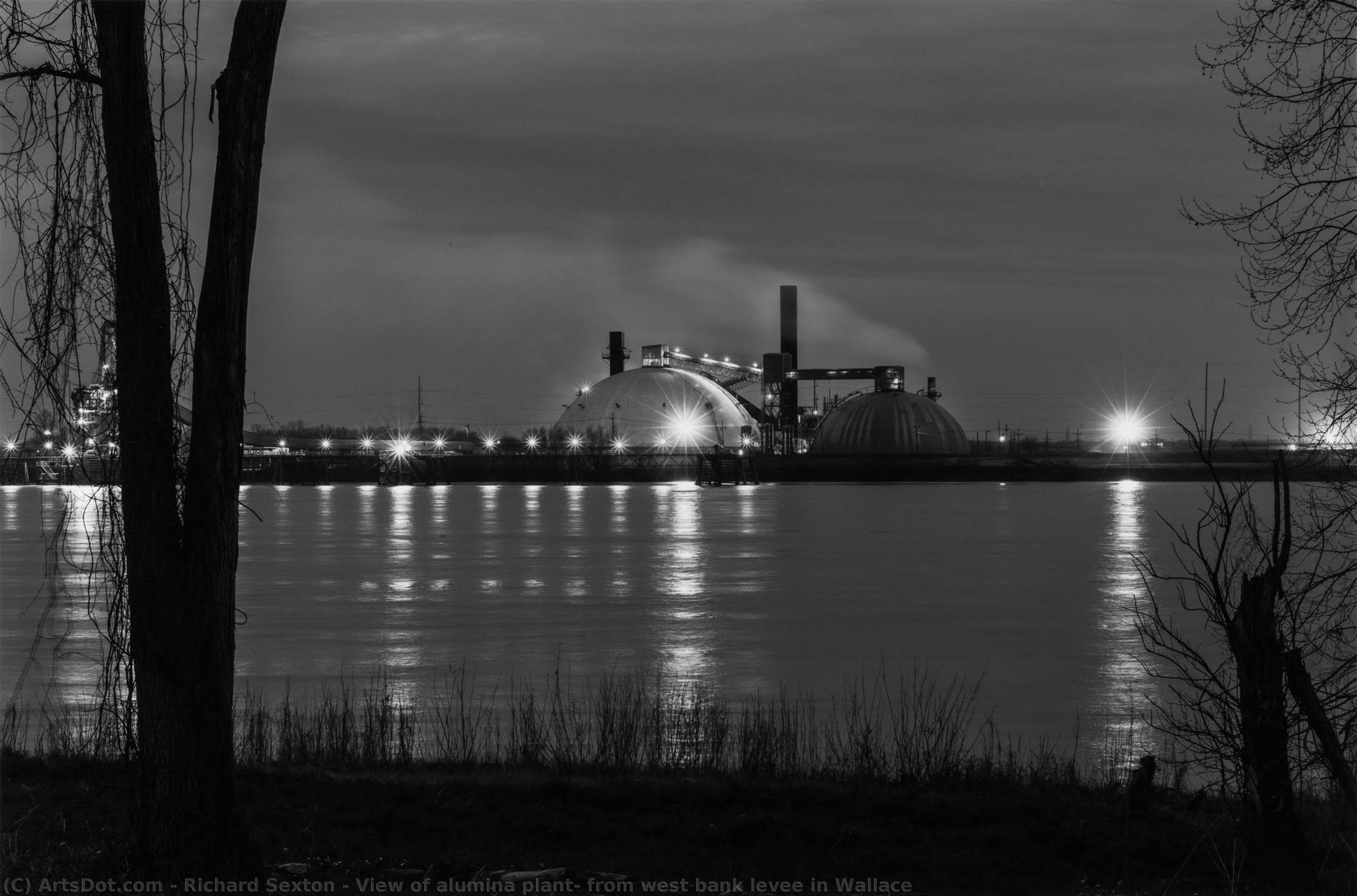 View Of Alumina Plant; From West Bank Levee In Wallace — Ričard Sekston