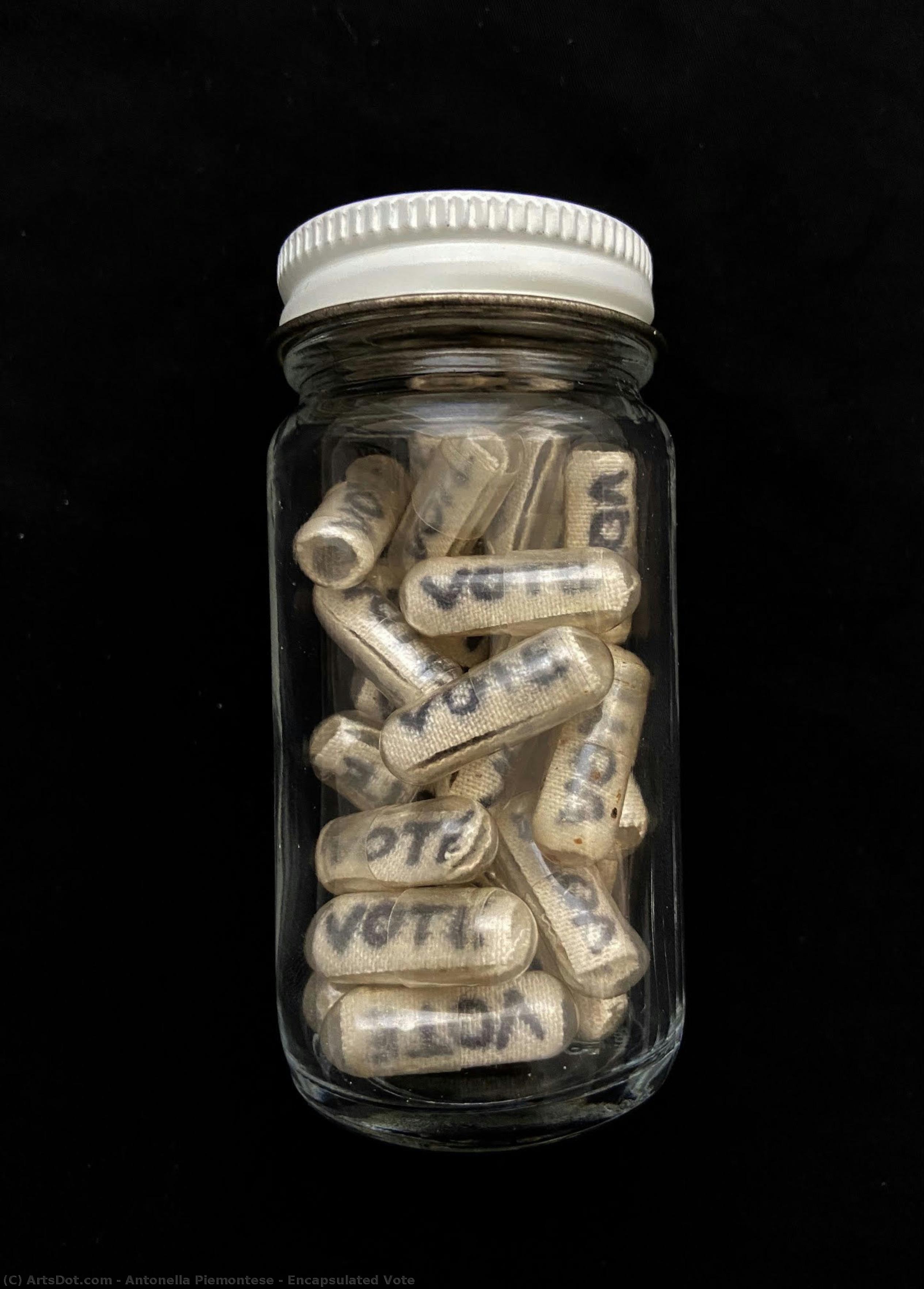 Encapsulated Vote — Antonella Piemontese