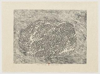 Life Pond From Series Of Repetitions — Xu Bing