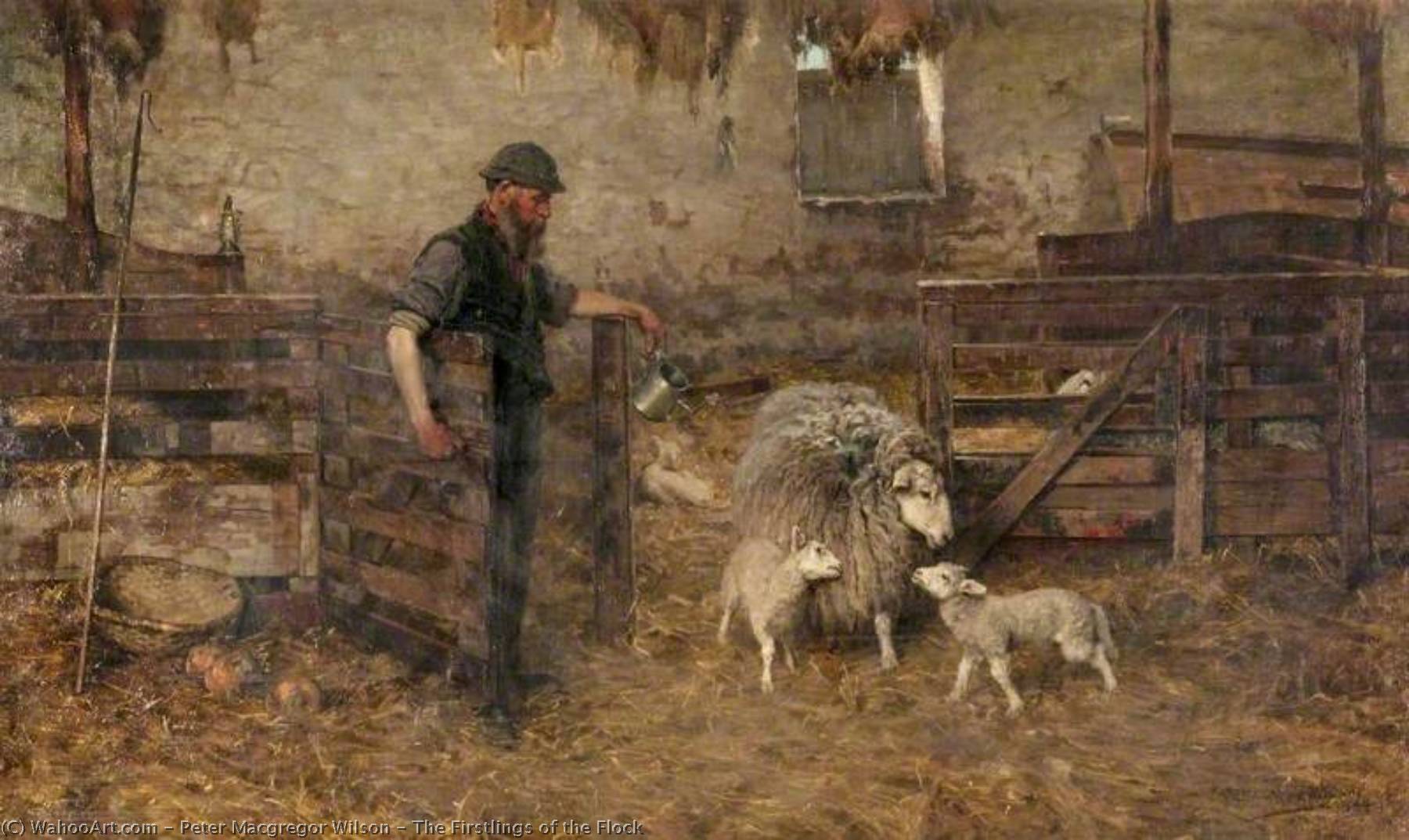 The Firstlings Of The Flock — Peter Macgregor Wilson
