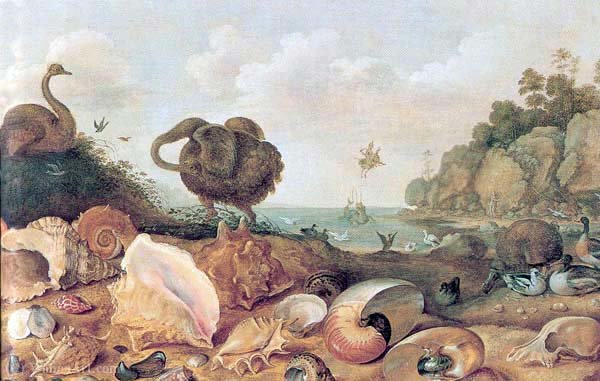 Perseus And Andromeda With A Dodo And Seashells — Gillis Claesz D'hondecoeter