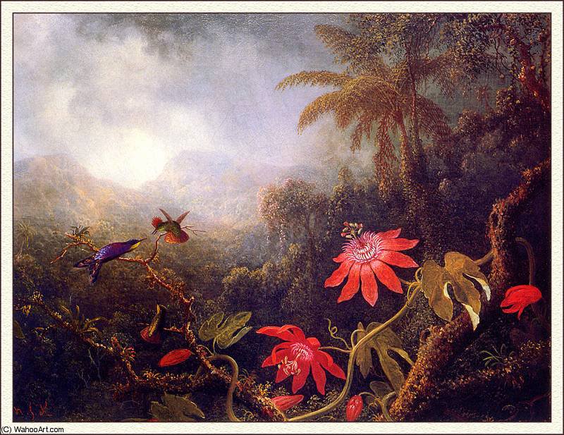 Passion Flowers With Three Hummingbird — Martin Johnson Heade