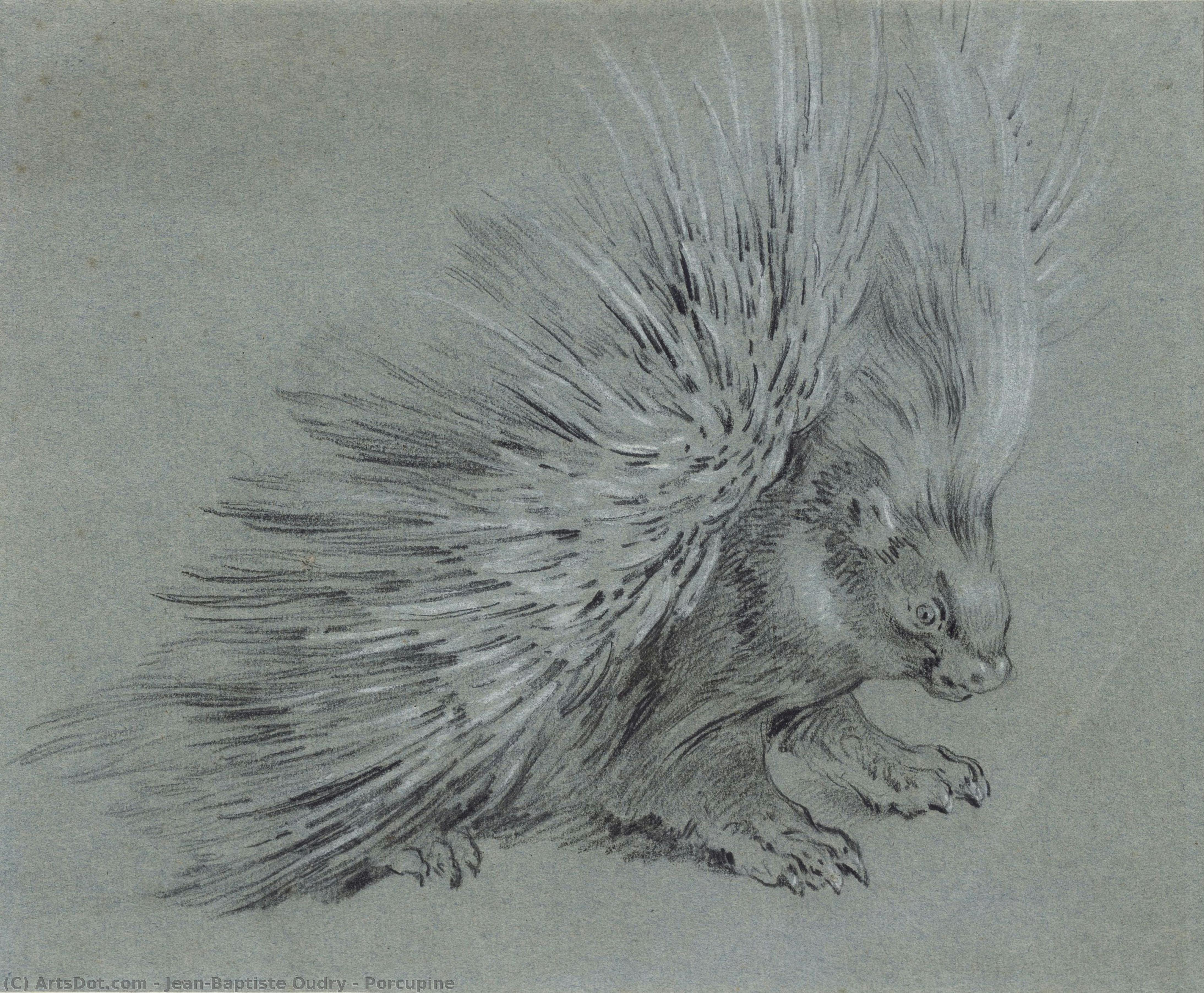 Porcupine — Jean-baptiste Oudry