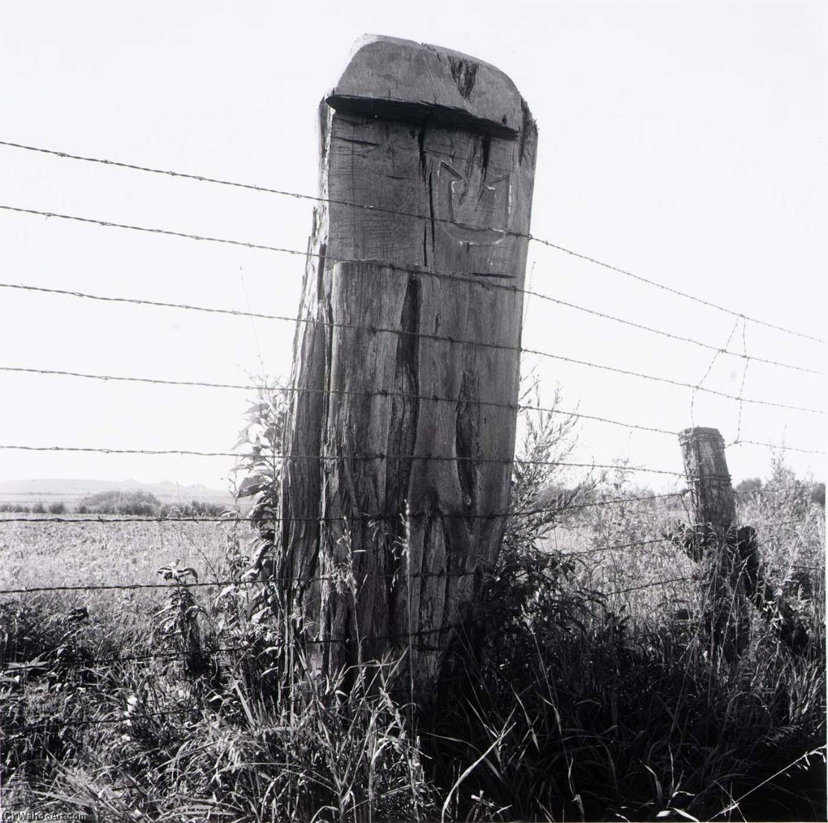 Fence Post, Douglas County, From The Kansas Documentary Survey Project — Larry W Schwarm