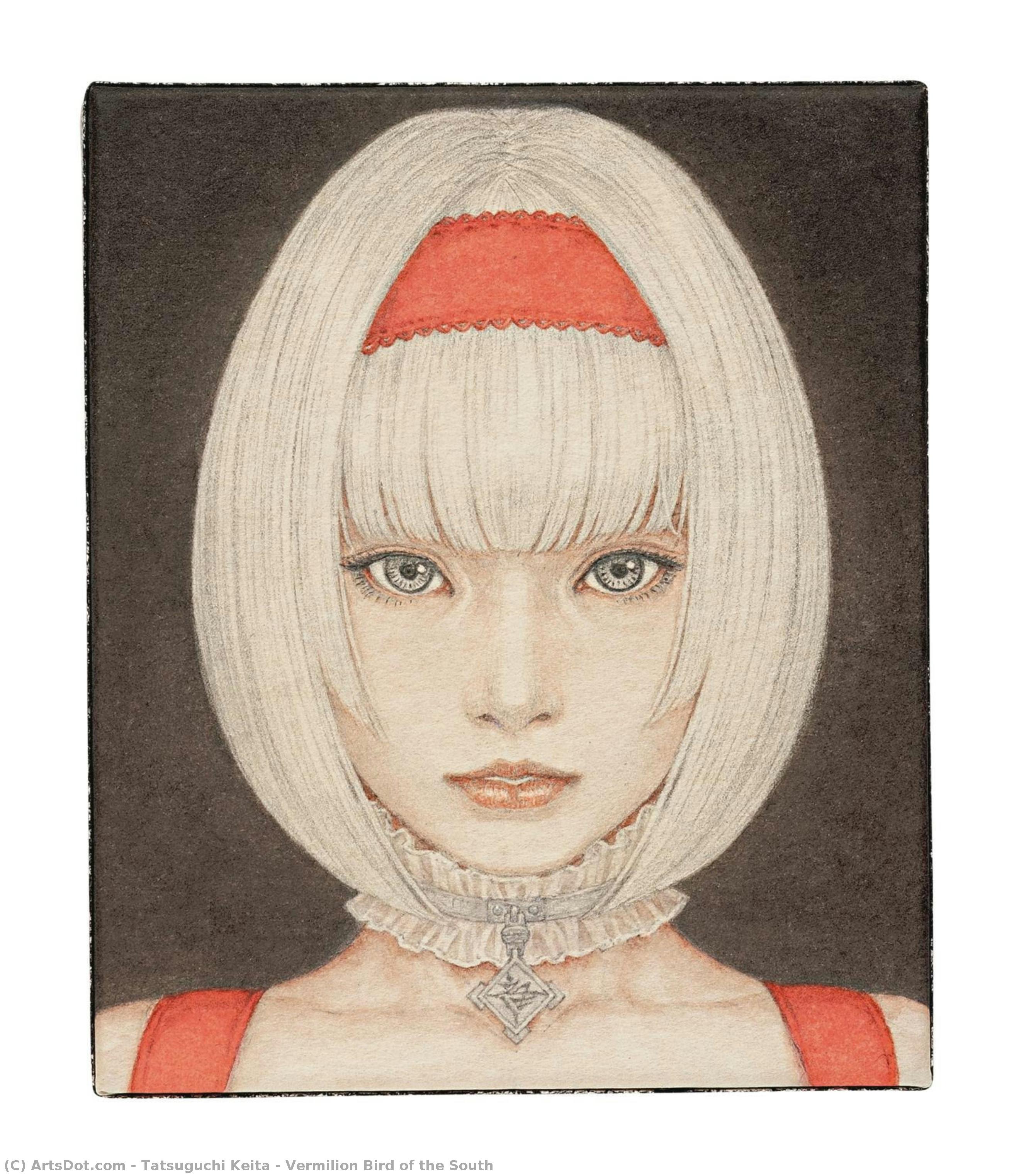 Vermilion Bird Of The South — Tatsuguchi Keita