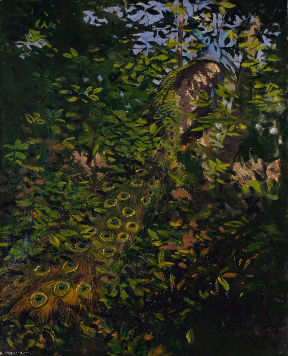 Peacock In The Woods, Study For Book Concealing Coloration In The Animal Kingdom — Abbott Handerson Thayer