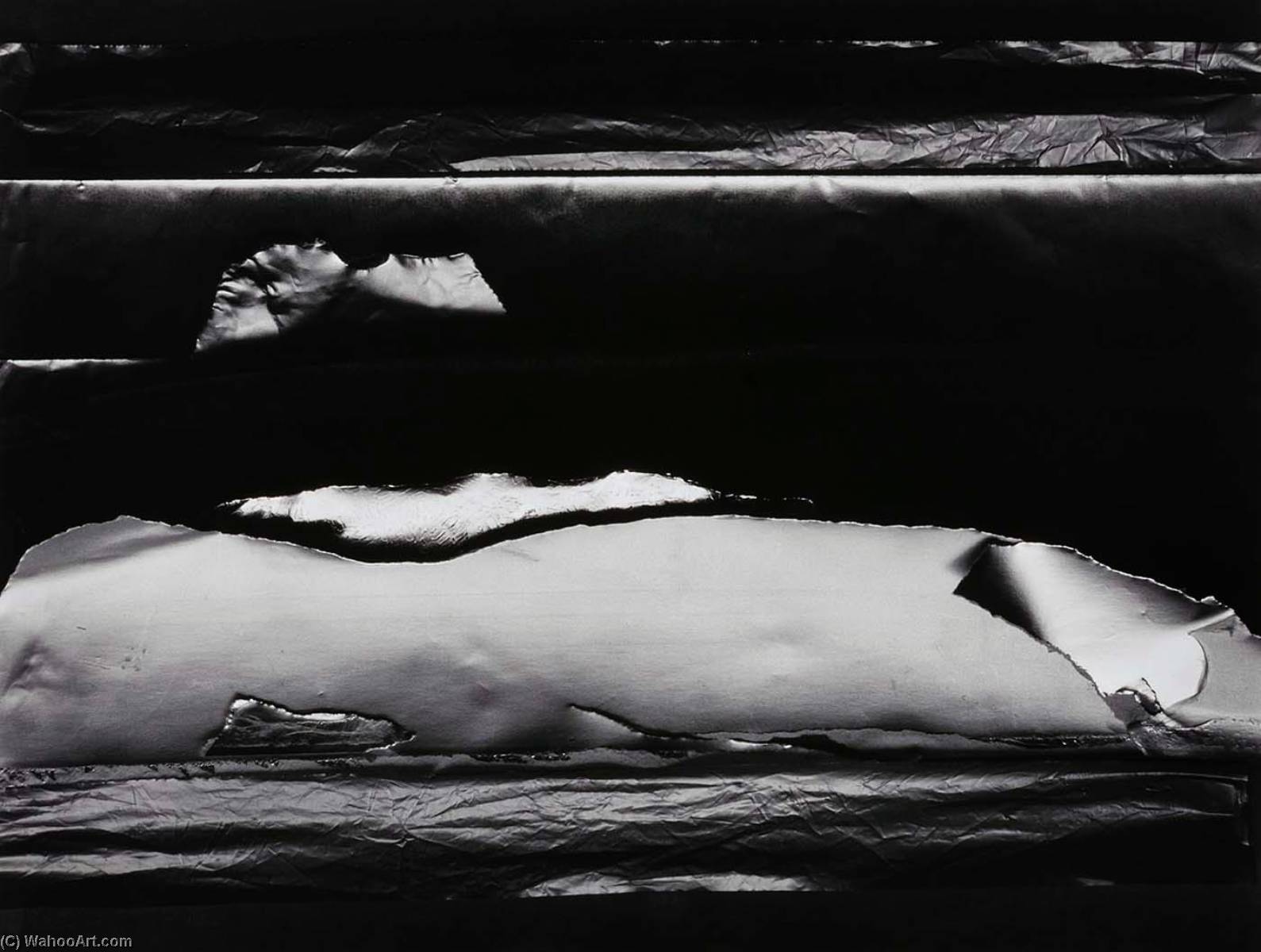Noumenon 119 — Carl Chiarenza