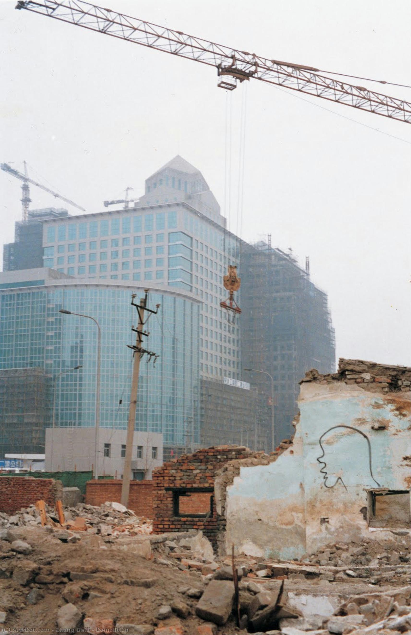 Demolition — Zhang Beili