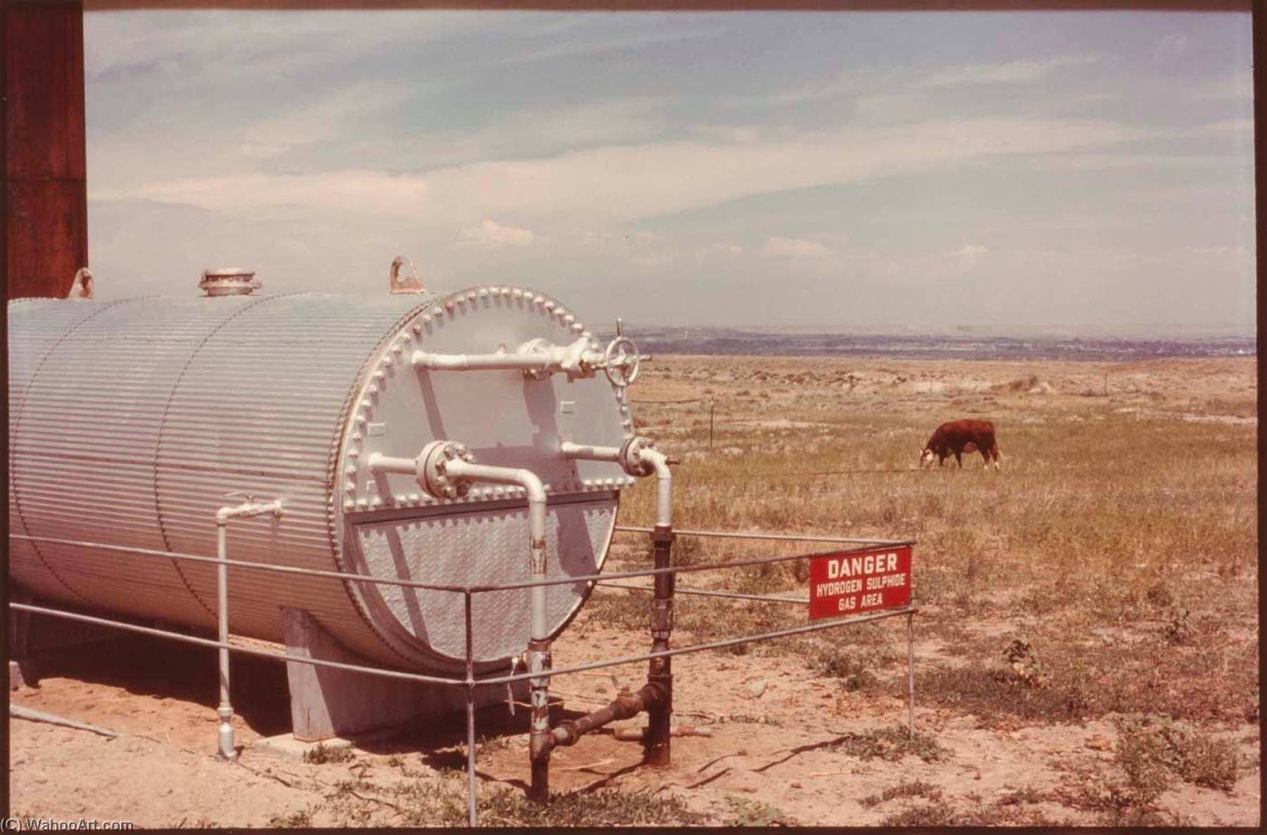 Wyoming Wpa Guide, From The Wyoming Documentary Survey Project — Penny Diane Wolin