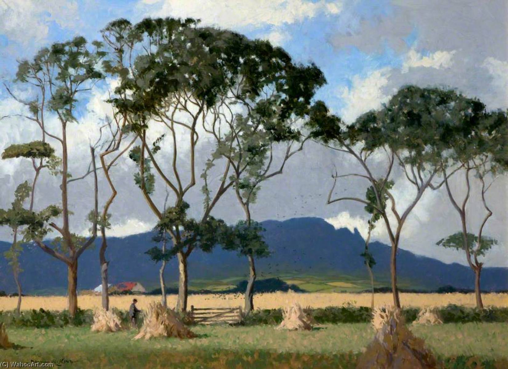 Harvest Fields, Sperrins — Норман Уилкинсон