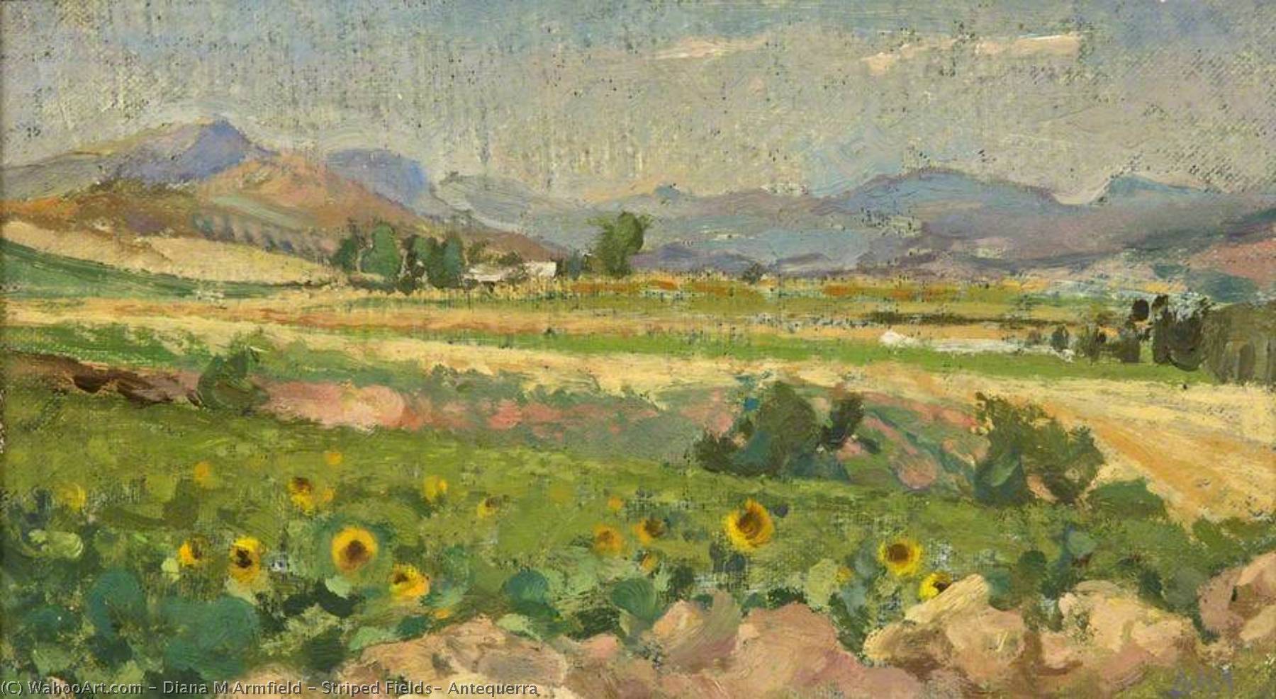 Striped Fields, Antequerra — Diana M Armfield
