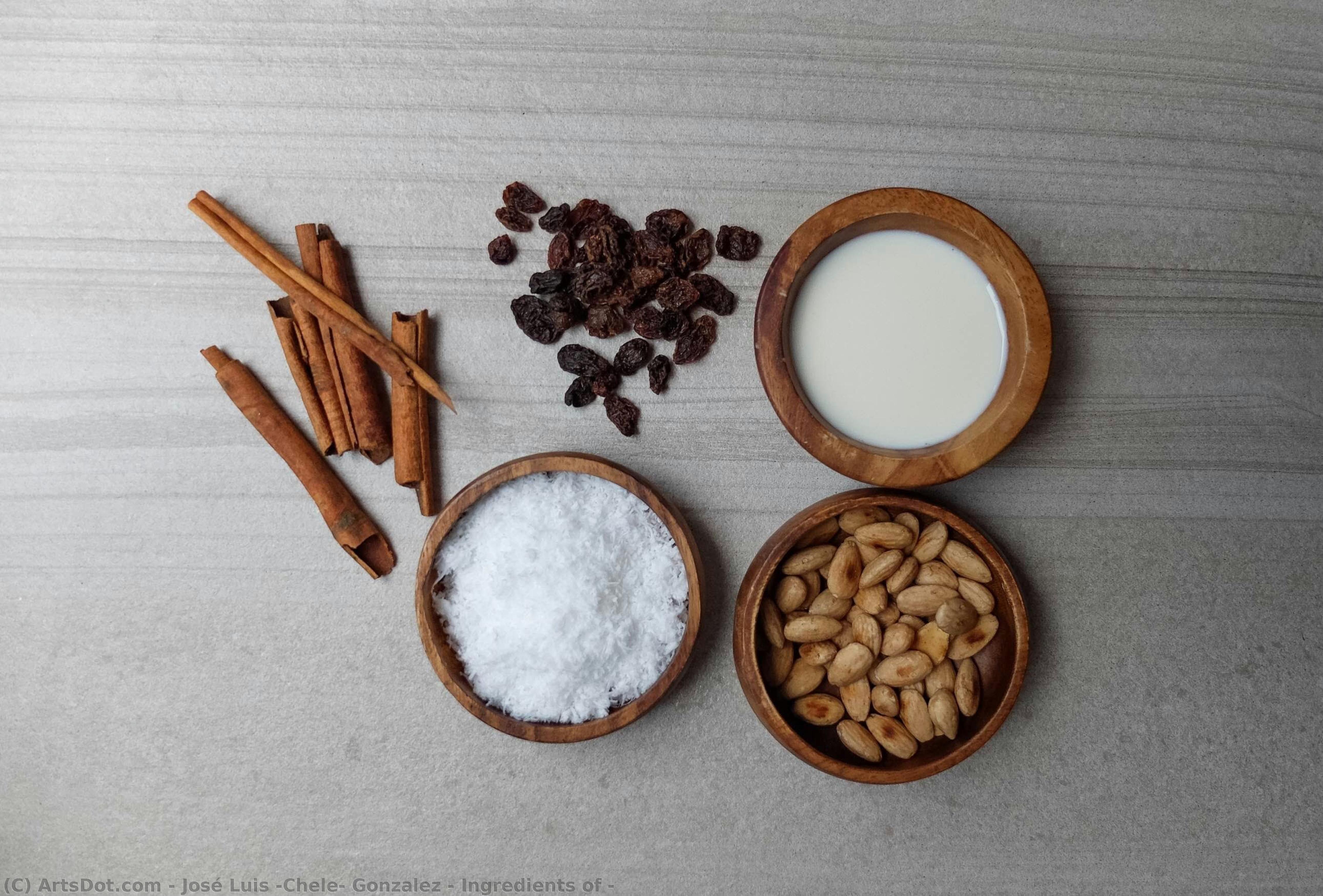 Ingredients Of — José Luis "chele" Gonzalez