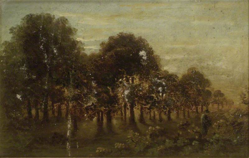 Moonlight — David Charles Read