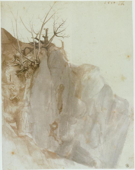 A Quarry — Albrecht Dürer