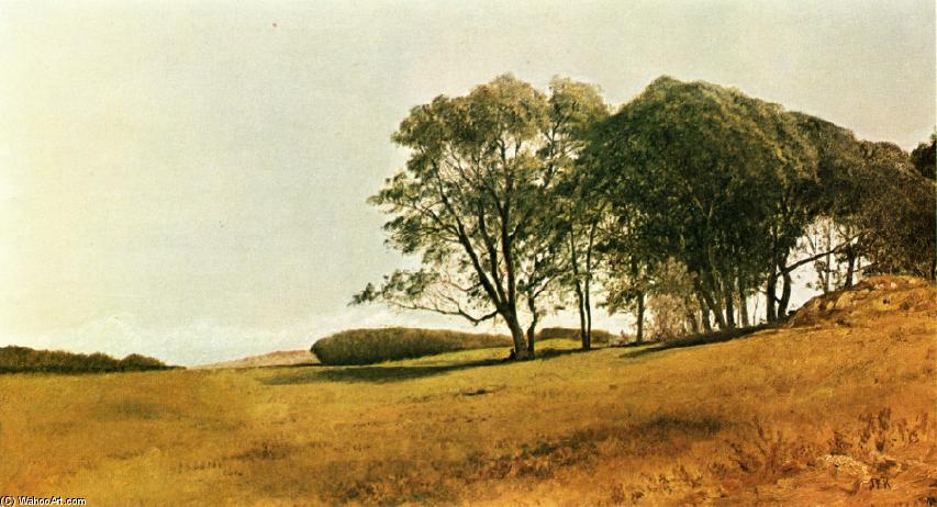Landscape With Figure — Џон Фредерик Кенсет