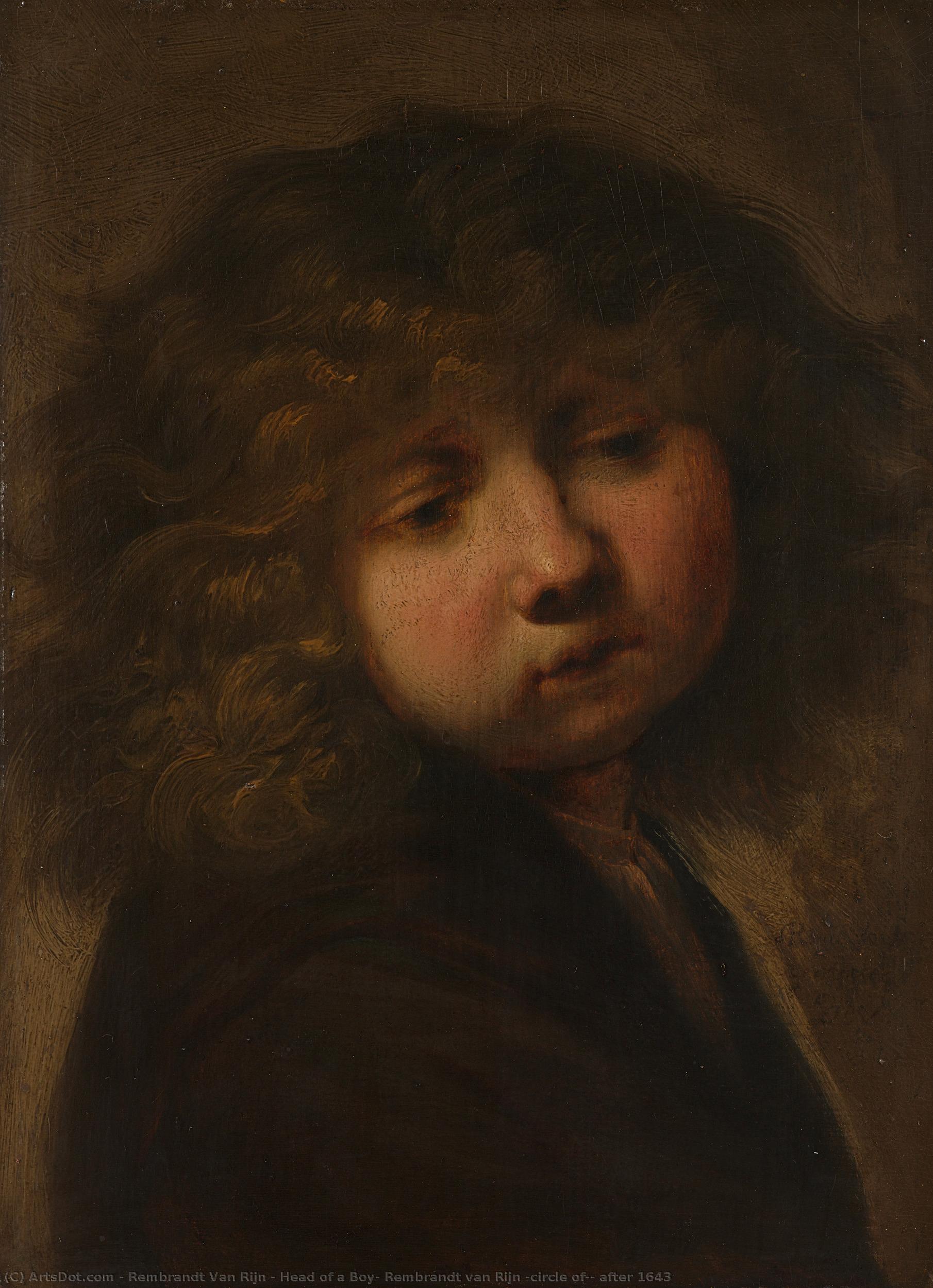 Head Of A Boy, Rembrandt Van Rijn (circle Of), After 1643 — Rembrandt Van Rijn
