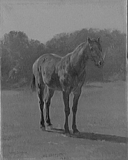 Etude De Cheval Bai Cerise — Bonheur Marie Rosalie