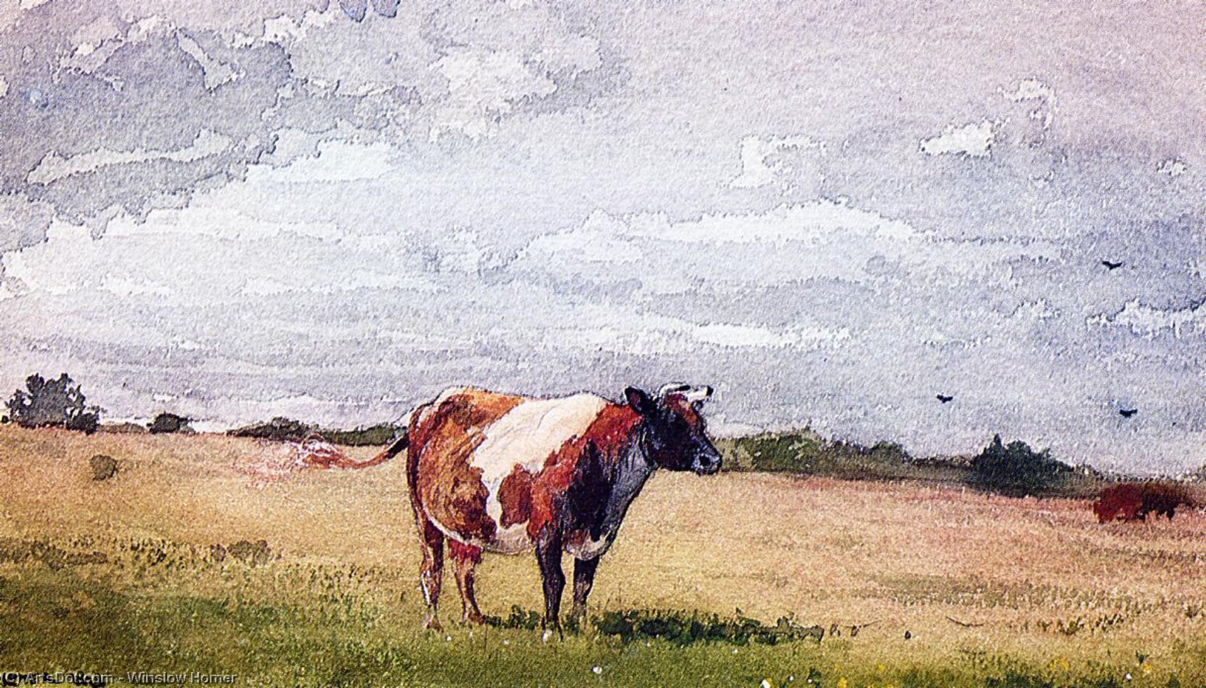 Landscape With Cow — Винслоу Хомер