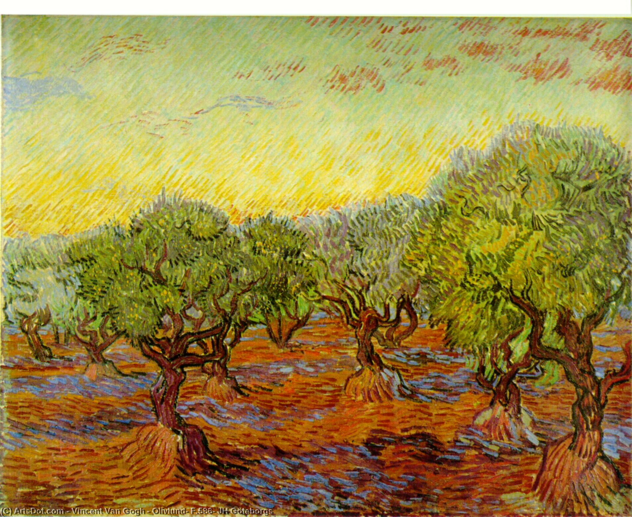 Olivlund, F.586, Jh Göteborgs — Vincent Willem Van Gogh