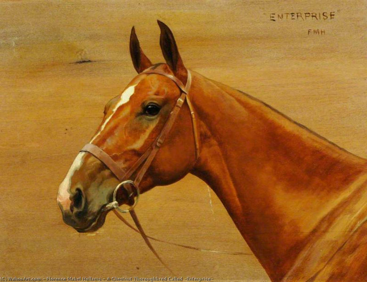 A Chestnut Thoroughbred Called 'enterprise' — Florence Mabel Hollams