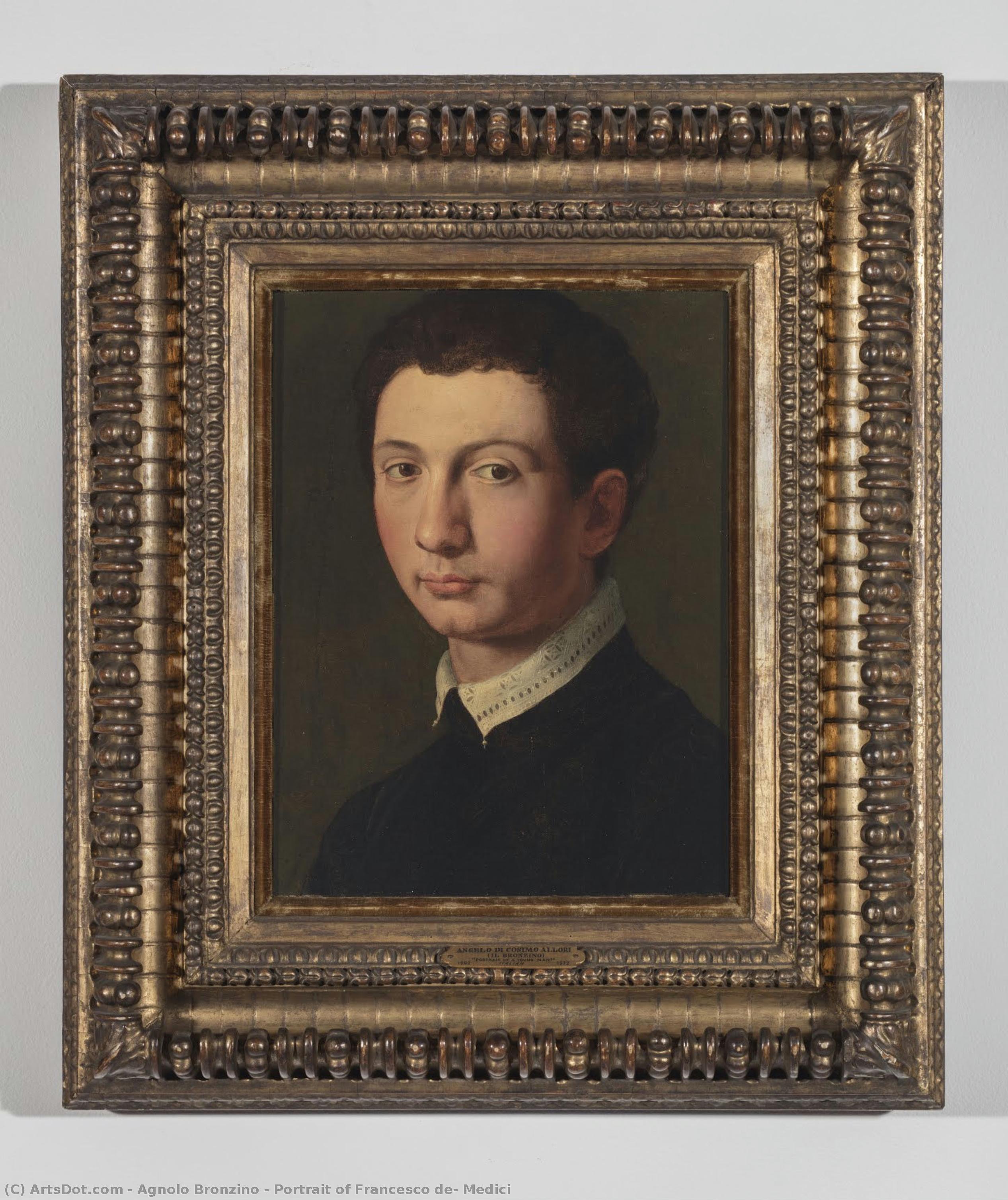 Portrait Of Francesco De’ Medici — Agnolo Bronzino
