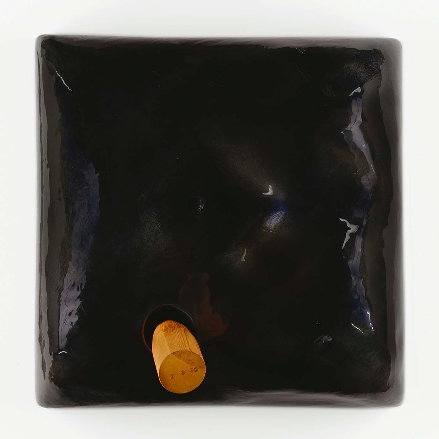 Fandove (from The Name Change Project) — Ed Mcgowin