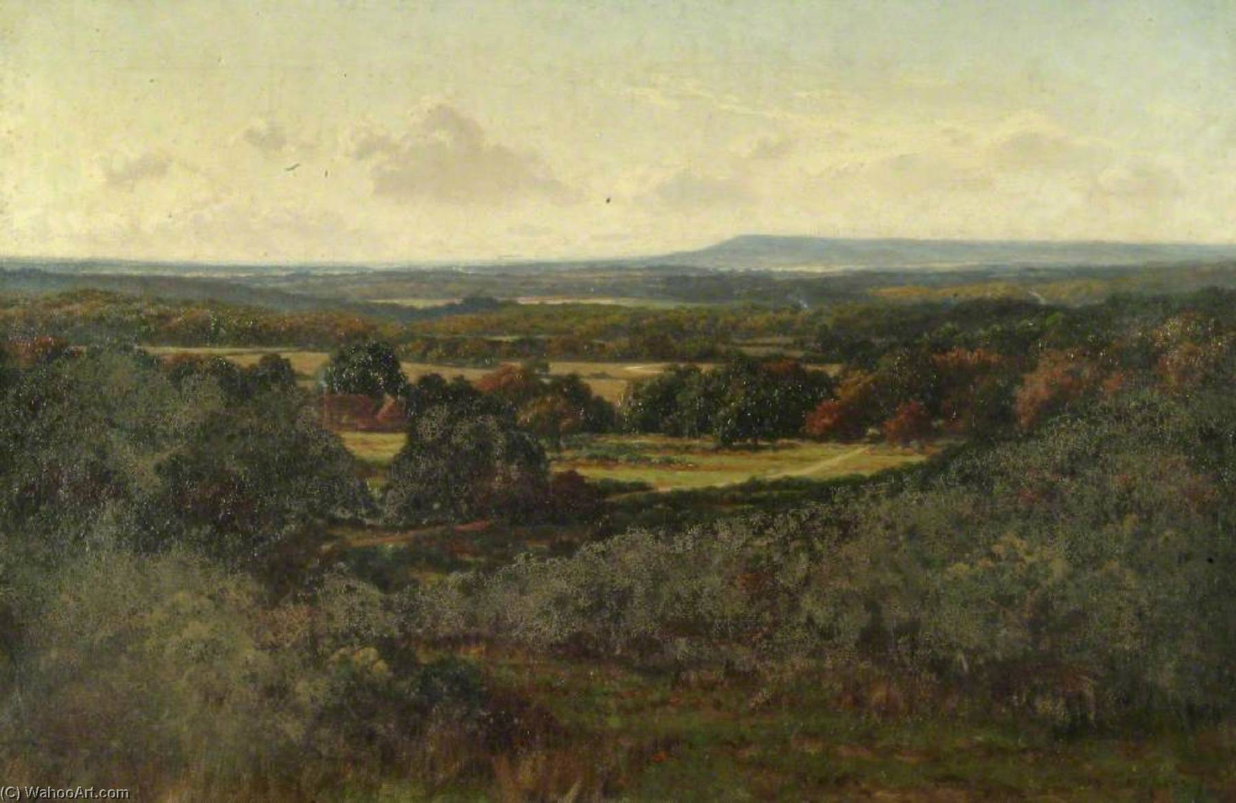 Blackdown From Hascombe — Byron Cooper