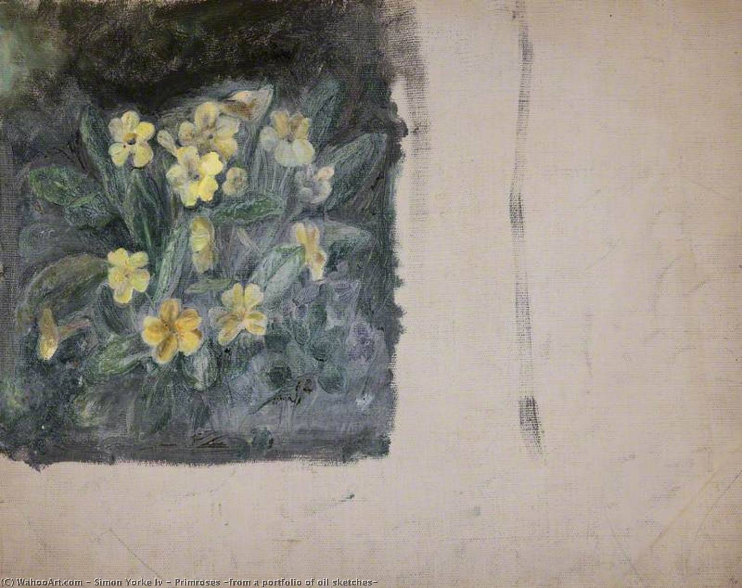 Primroses (from A Portfolio Of Oil Sketches) — Simon Yorke Iv