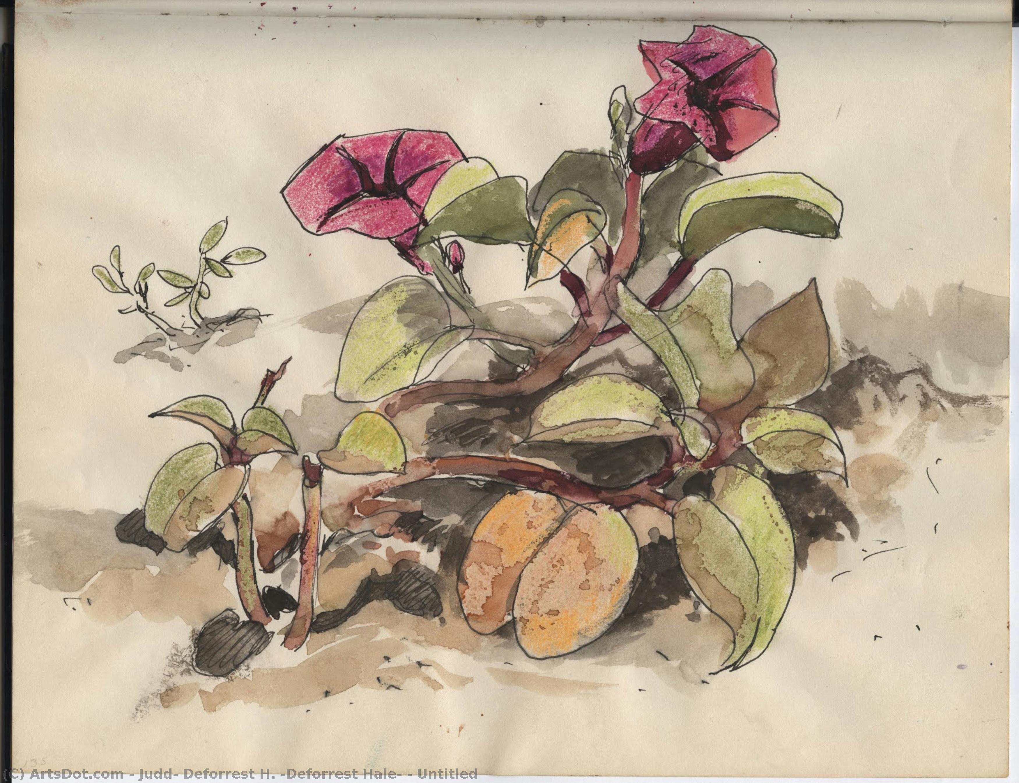 Untitled — Judd, Deforrest H. (deforrest Hale)