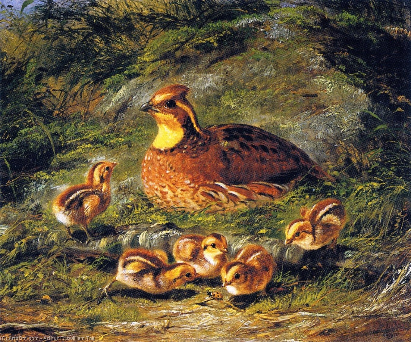 Hen, Chicks And Ladybug — Arthur Fitzwilliam Tait