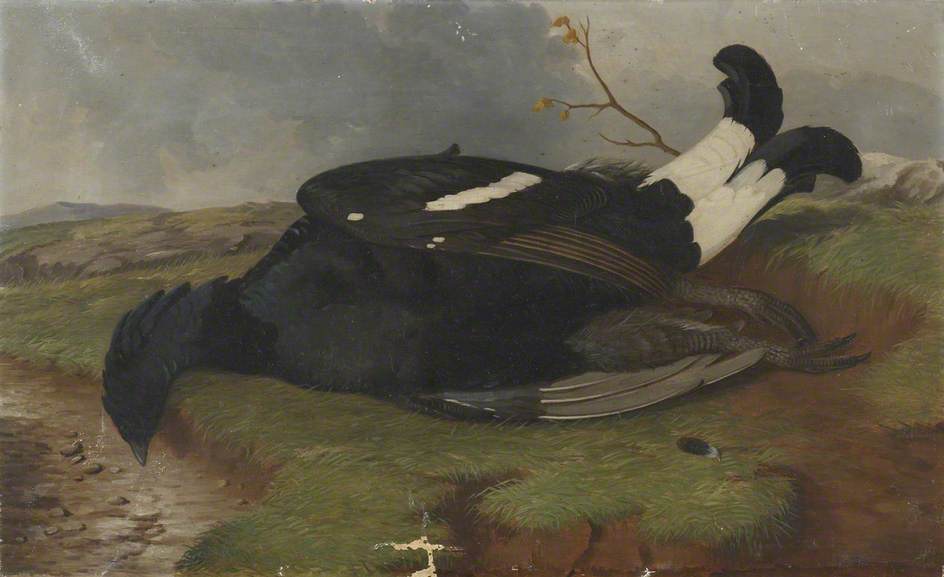 Game Study Blackcock In A Landscape — Robert Harrington