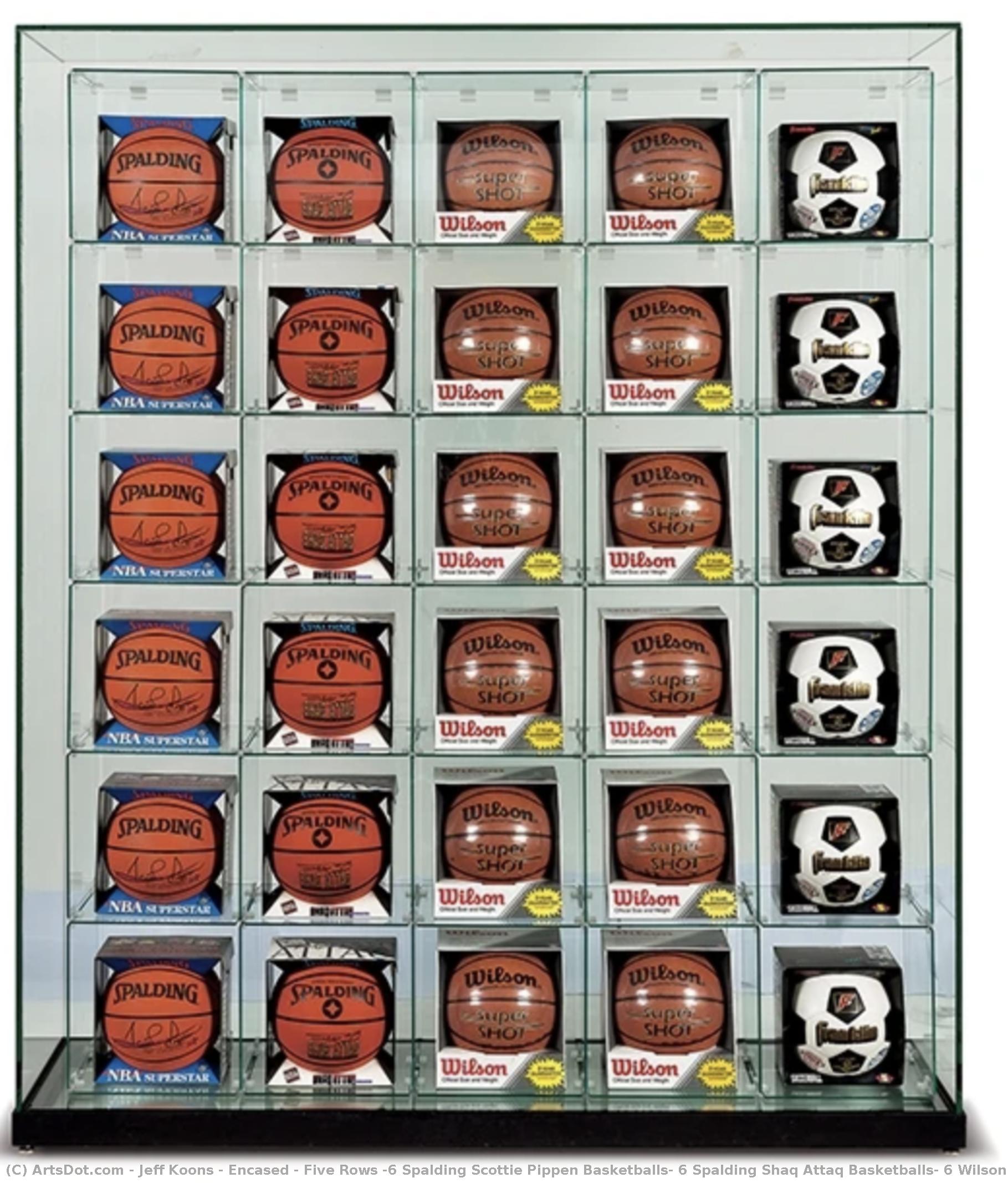 Encased - Five Rows (6 Spalding Scottie Pippen Basketballs, 6 Spalding Shaq Attaq Basketballs, 6 Wilson Supershot Basketballs, 6 Wilson Supershot Basketballs, 6 Franklin 6034 Soccerballs) — Jeff Koons