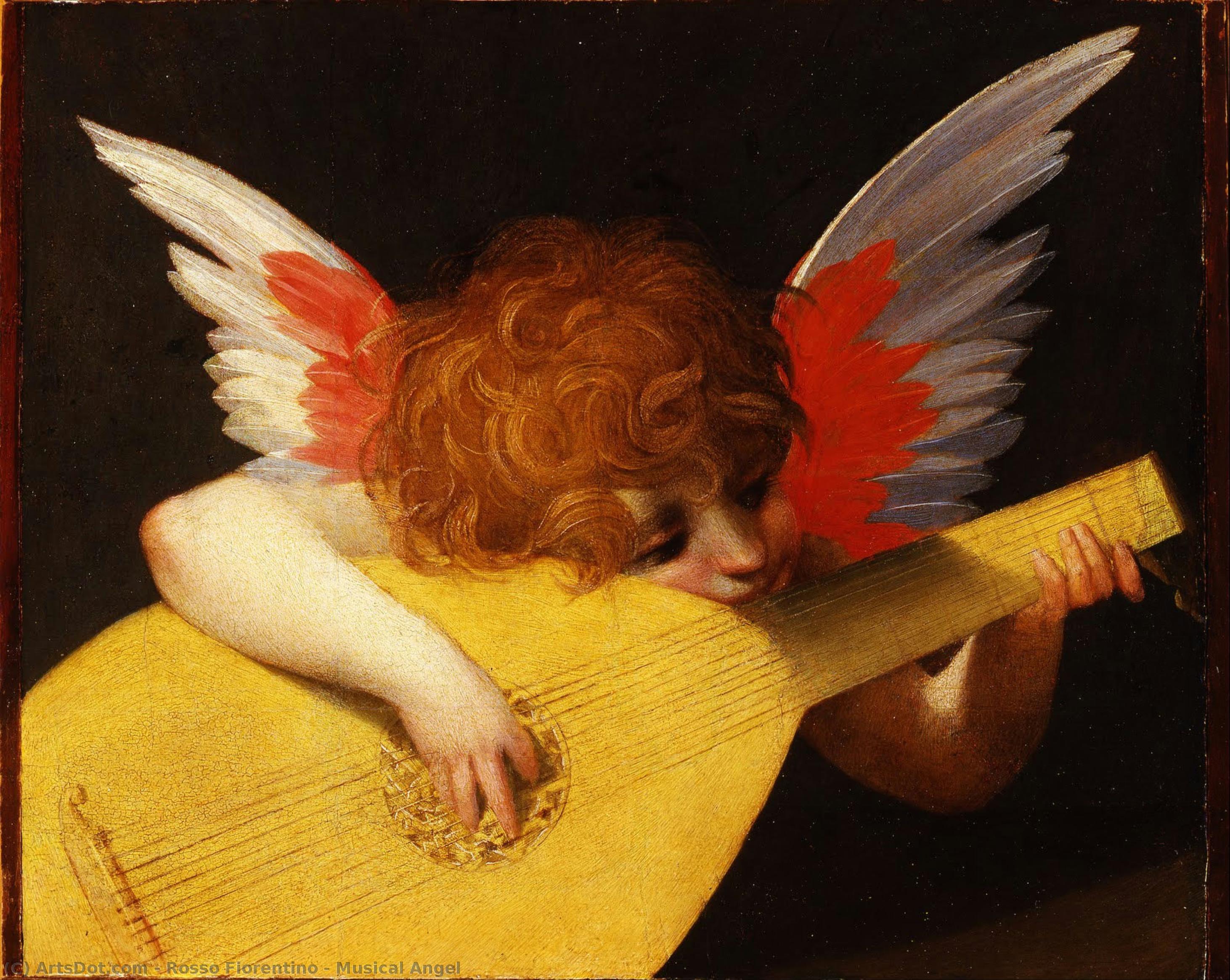 Musical Angel — Rosso Fiorentino