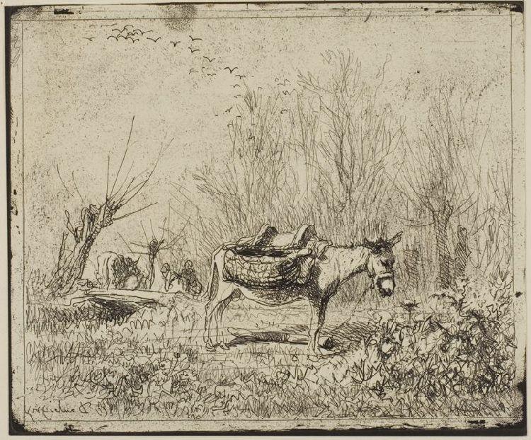 The Donkey In The Meadow — Charles-françois Daubigny