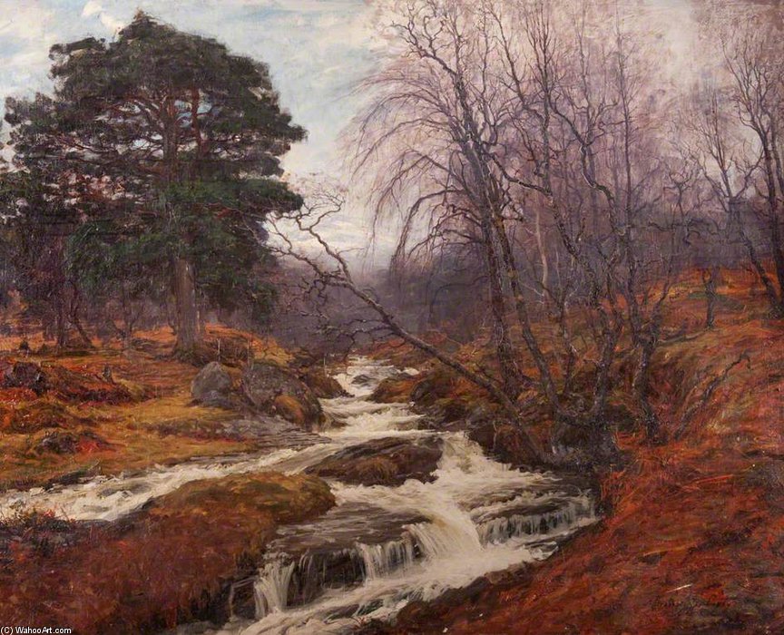 Caledonian Forest — Alexander Brownlie Docharty