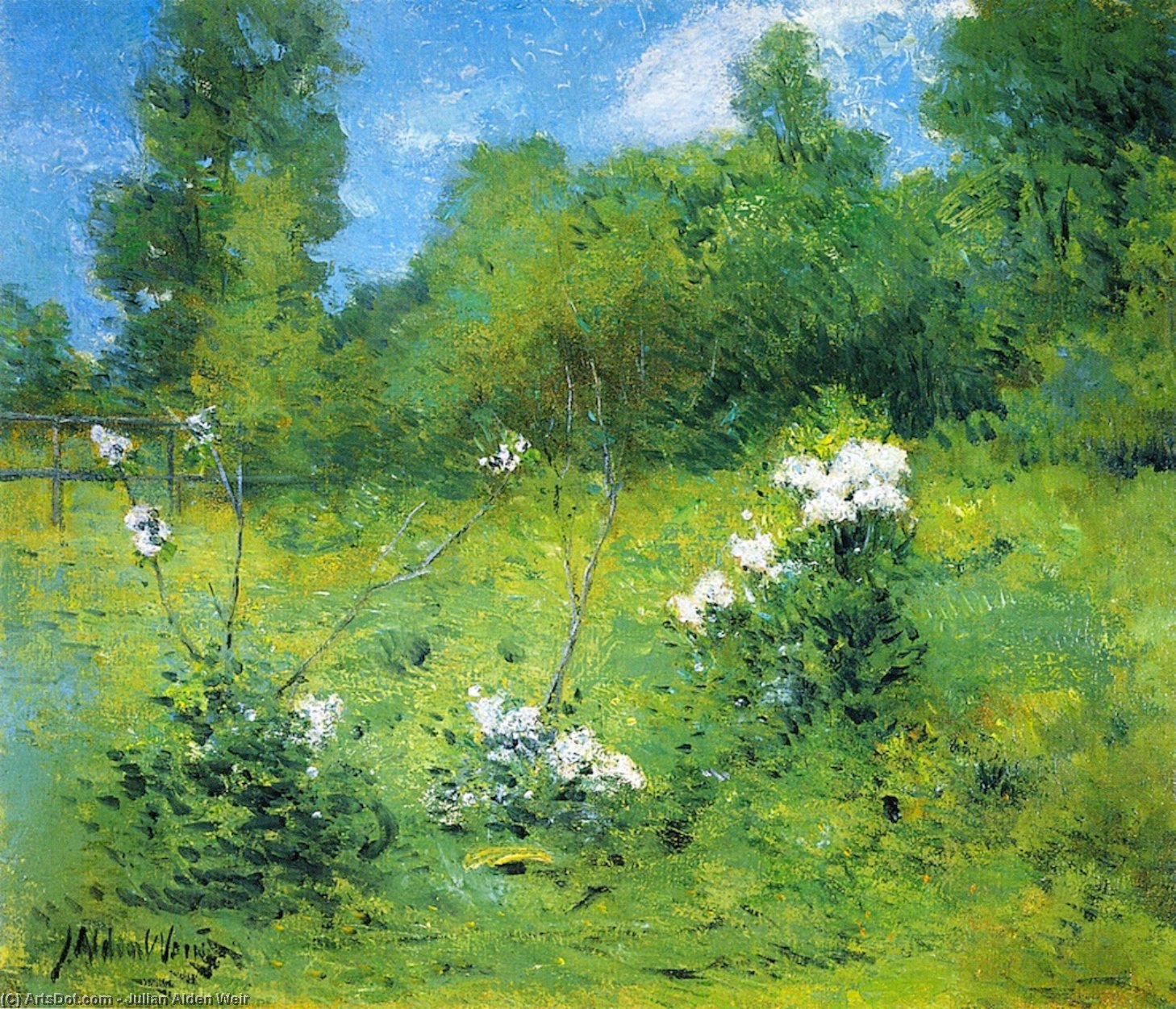 Rhododendrons — Джулиан Алден Вейр